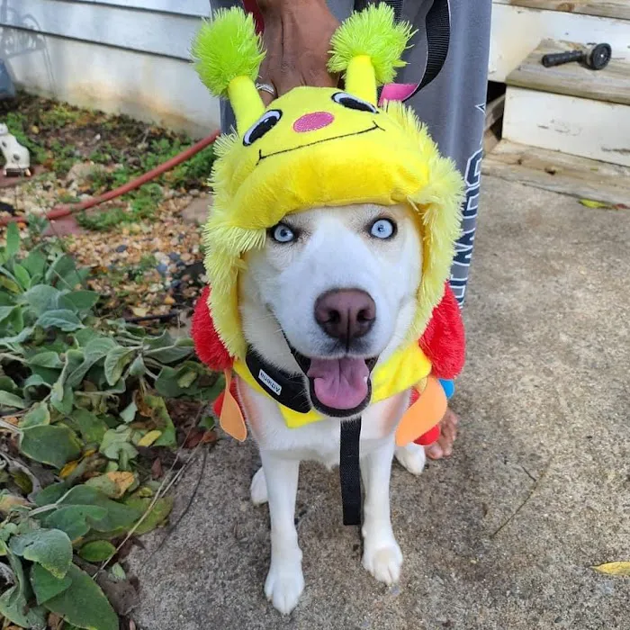 Total Veterinary Care - Kennesaw 12