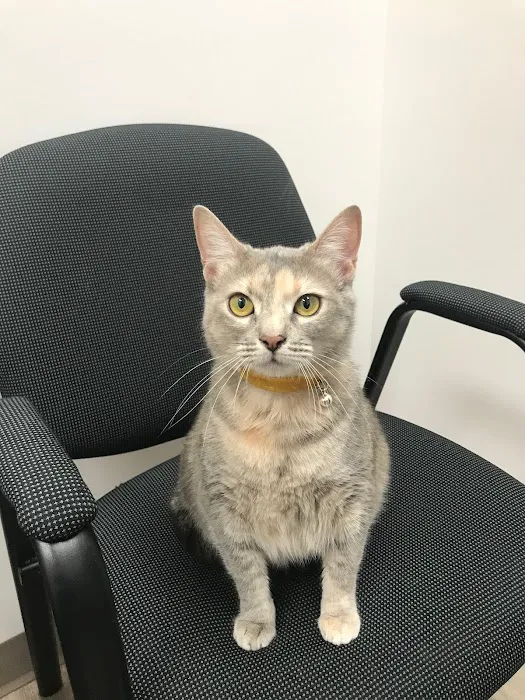 Total Veterinary Care - Kennesaw 12