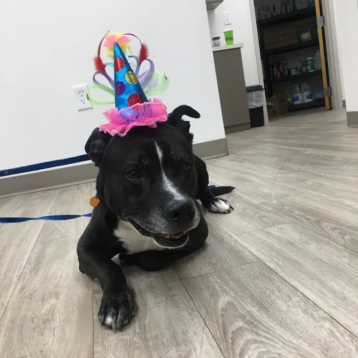 Total Veterinary Care - Kennesaw 12