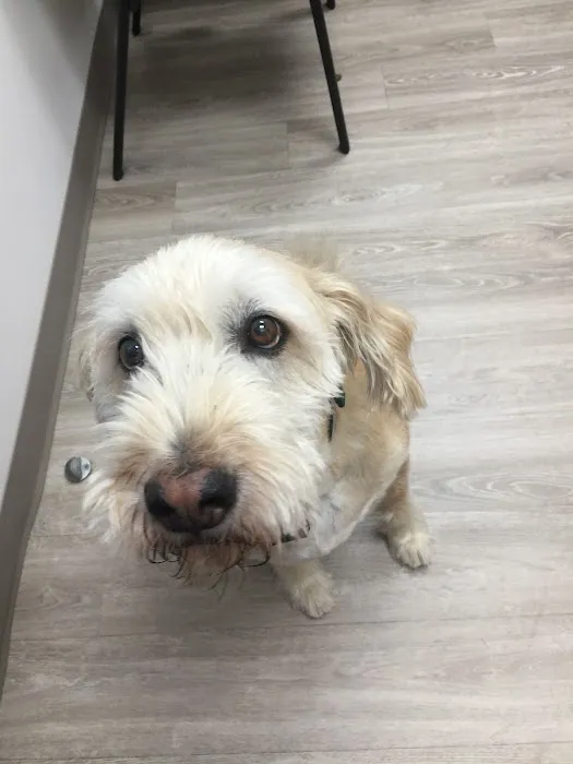 Total Veterinary Care - Kennesaw 12