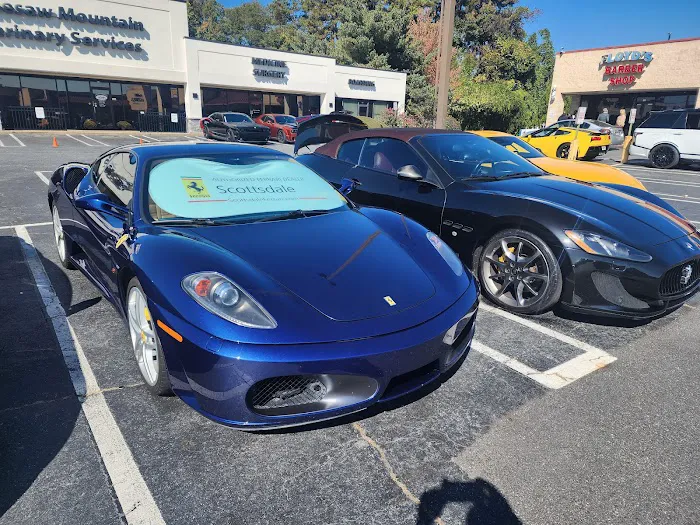 Kennesaw Mountain Veterinary Services 12