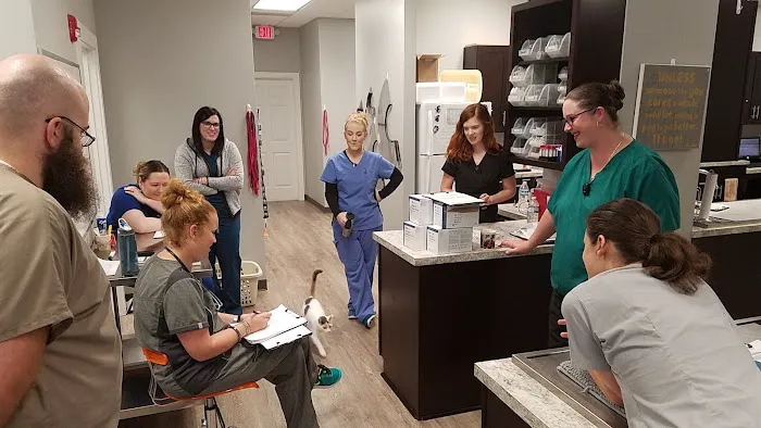 Kennesaw Mountain Animal Hospital 2