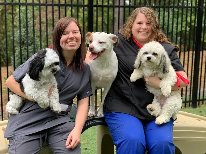 Kennesaw Mountain Animal Hospital 3