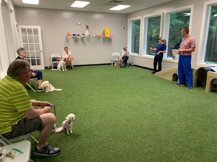 Kennesaw Mountain Animal Hospital 5