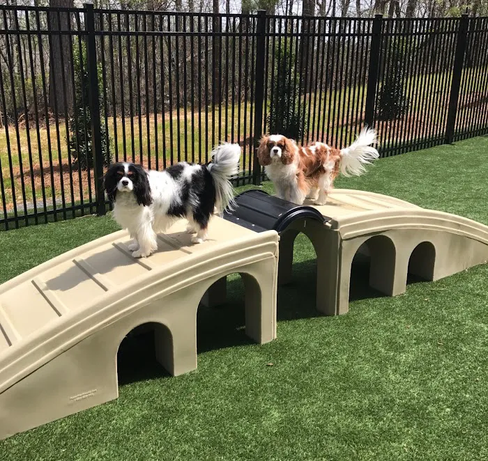 Kennesaw Mountain Animal Hospital 8