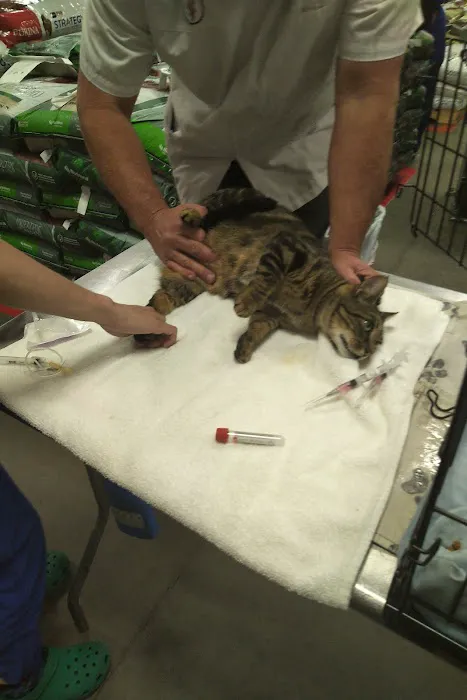 ProtectMyPet Vaccinations Clinic at Tractor Supply Co. 12