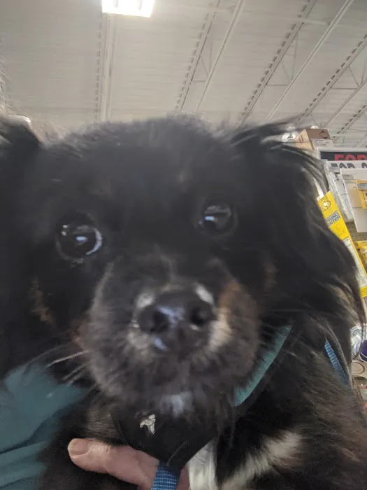 ProtectMyPet Vaccinations Clinic at Tractor Supply Co. 12