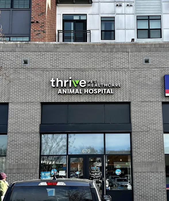 Thrive Pet Healthcare - Decatur 4