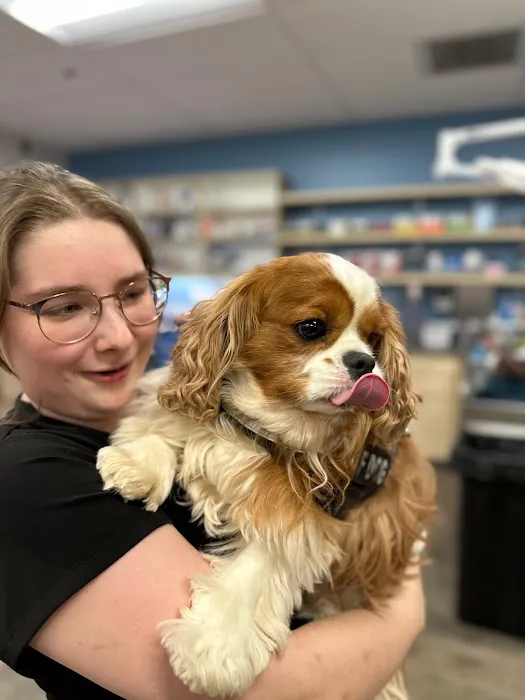 Thrive Pet Healthcare - Decatur 5