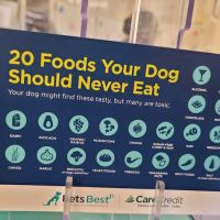 Smyrna Animal Hospital: Griffith Robert A DVM ico