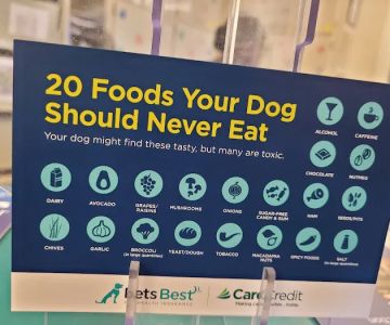Smyrna Animal Hospital: Griffith Robert A DVM
