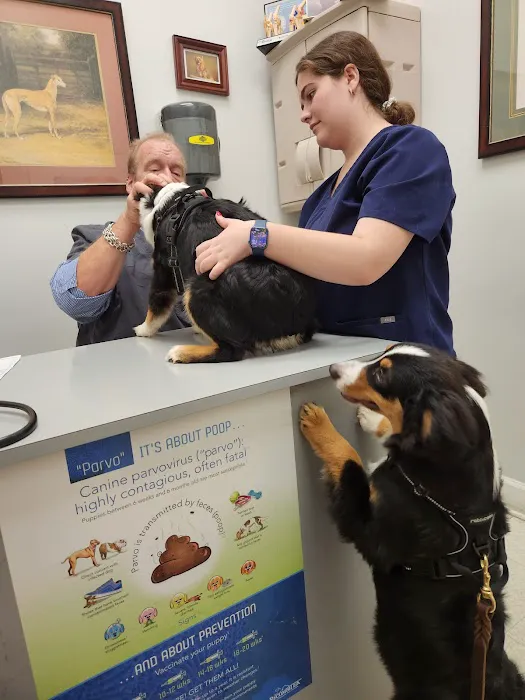 Johnson Veterinary Services 3