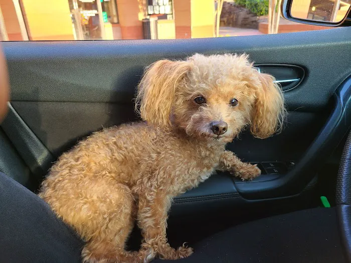 Miller Mobile Veterinary Services and Animal Hospital 10