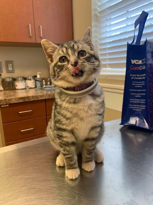 VCA Carrollton Animal Hospital 5