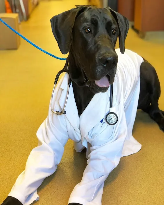 VCA Carrollton Animal Hospital 9