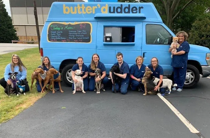 VCA Carrollton Animal Hospital 6