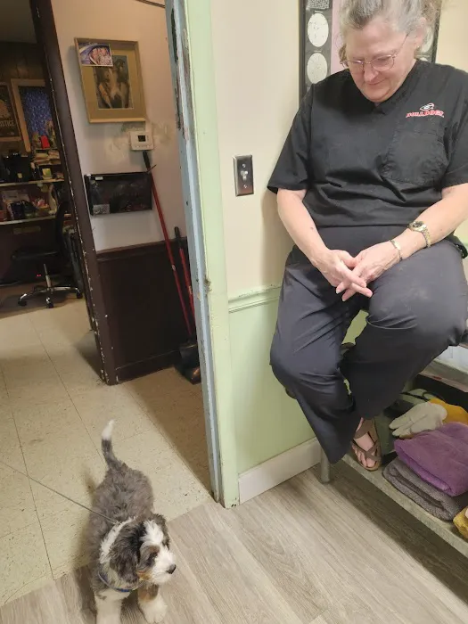 Whiteway Animal Hospital 12