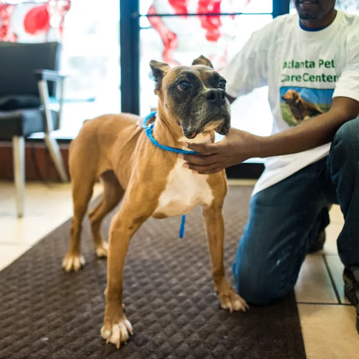 Atlanta Pet Care Center 12