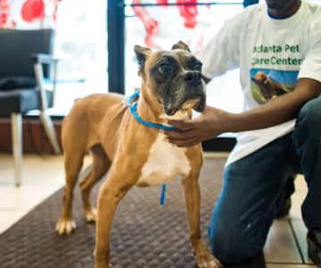 Atlanta Pet Care Center
