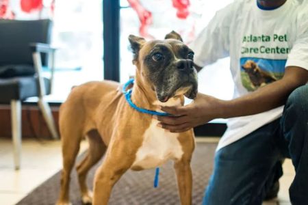 Atlanta Pet Care Center