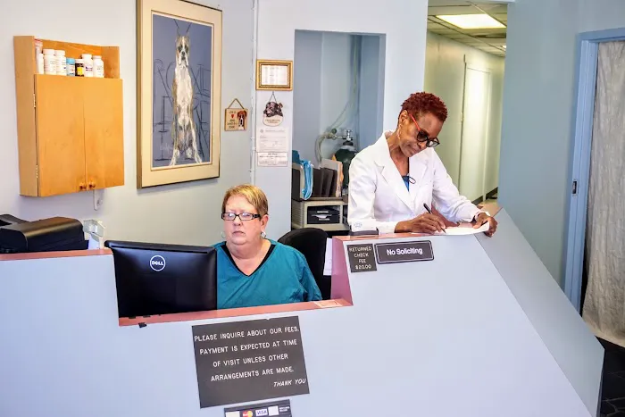 Atlanta Veterinary Eye Clinic 4