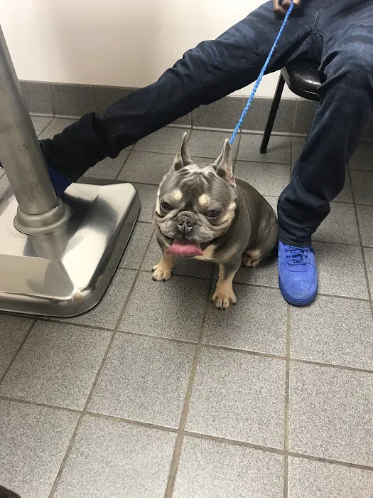 Lithonia Animal Hospital 12