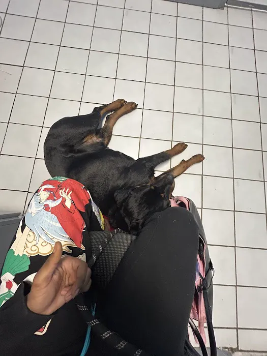 Deshon Animal Hospital 5