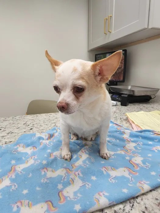 Providence Veterinary Clinic 4