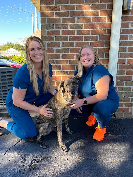 Providence Veterinary Clinic 9