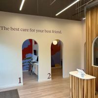 Petfolk Veterinary & Urgent Care - East Cobb Marietta ico