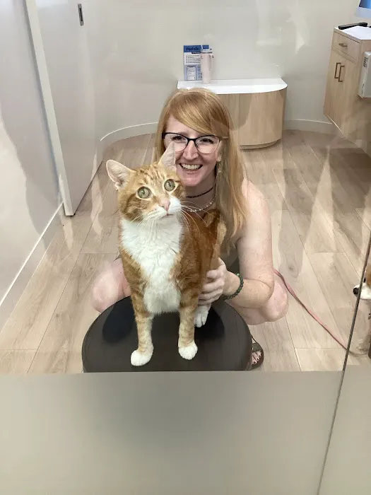 Petfolk Veterinary & Urgent Care - East Cobb Marietta 12