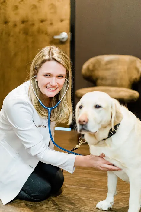 Good Dog Veterinary Care East Cobb 12