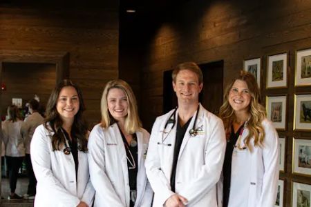 Good Dog Veterinary Care East Cobb