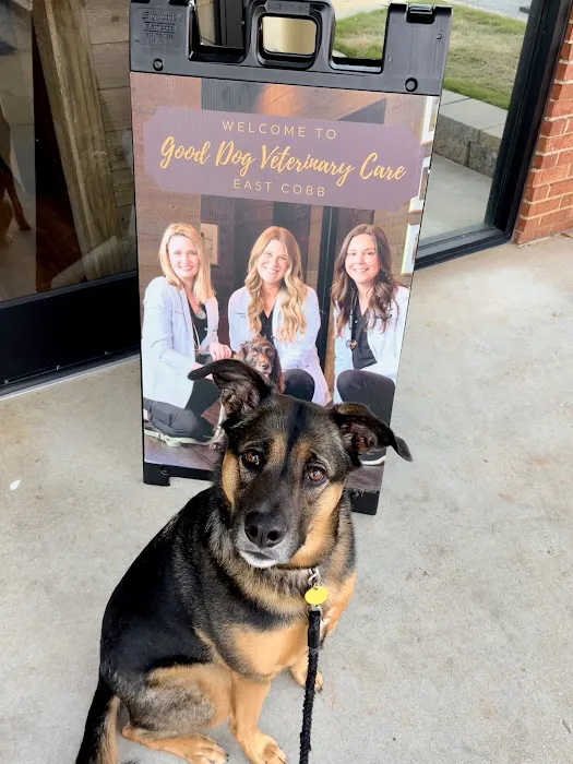 Good Dog Veterinary Care East Cobb 12