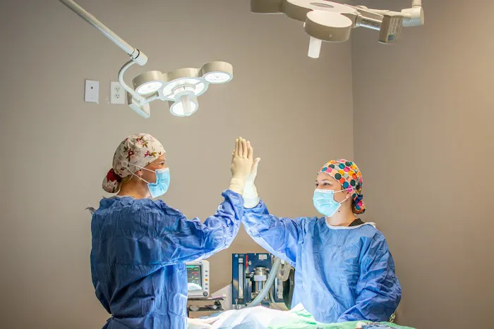 Good Dog Veterinary Care East Cobb 12
