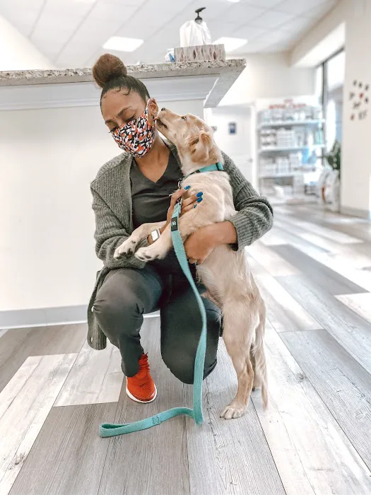 Happy Tails Animal Hospital 12