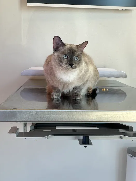 Petfolk Veterinary & Urgent Care - Sandy Springs 7