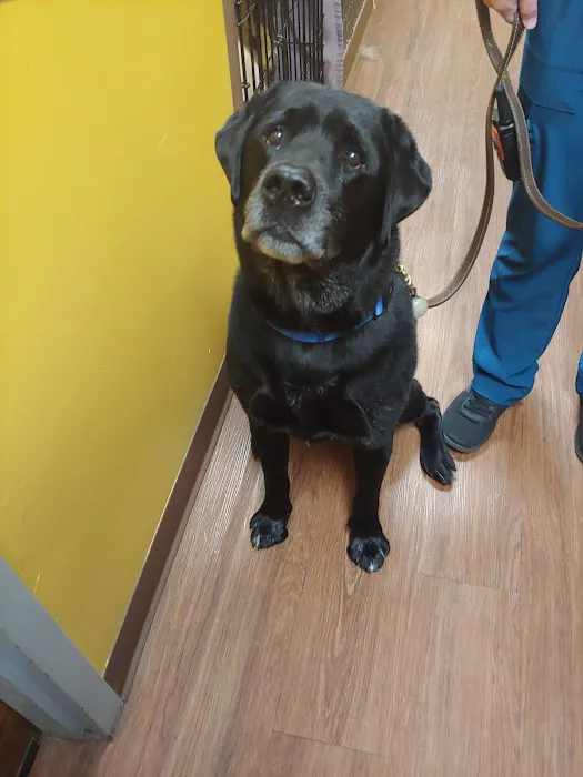 Montrose Animal Hospital 8