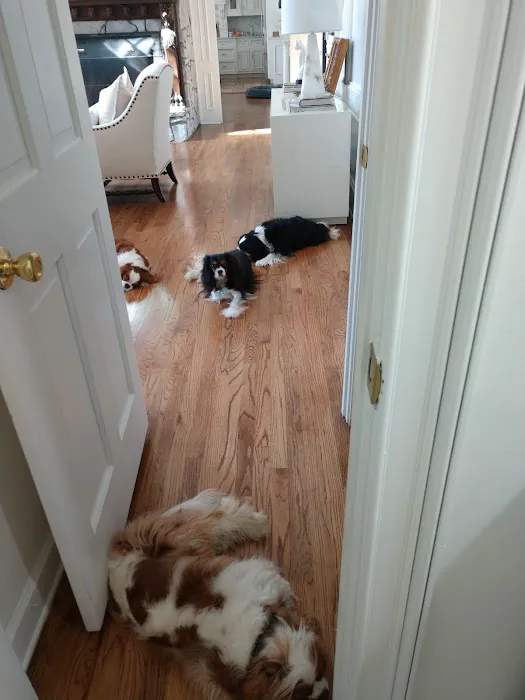 Montrose Animal Hospital 3