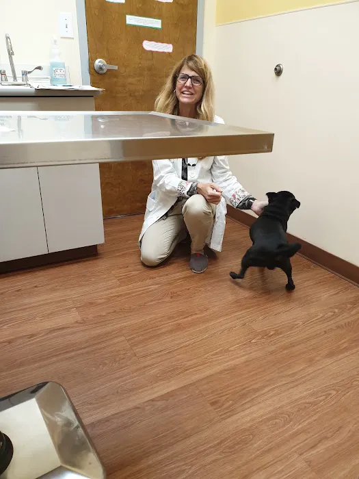 Montrose Animal Hospital 2