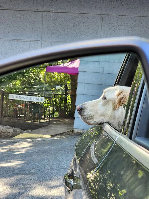 Vernon Woods Animal Hospital 12