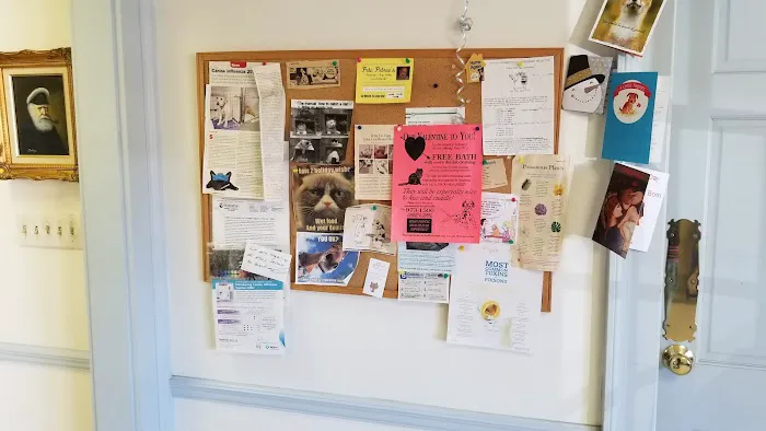 Johnson Ferry Animal Hospital 12