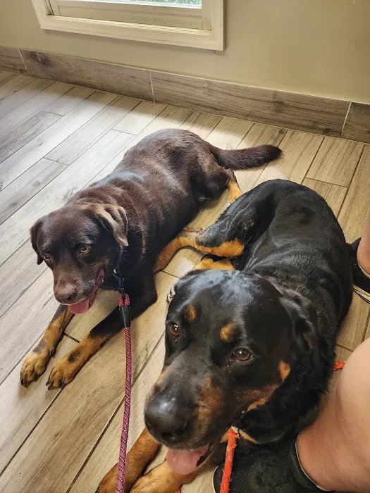 Tritt Animal Hospital 12