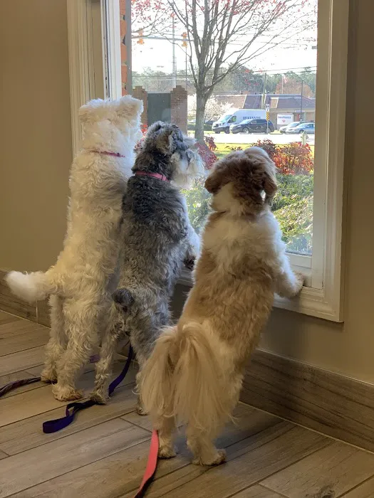 Tritt Animal Hospital 12