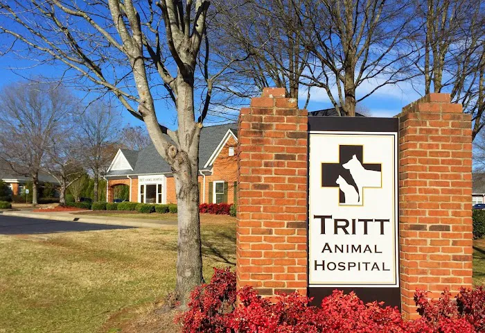 Tritt Animal Hospital 12