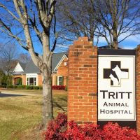 Tritt Animal Hospital ico