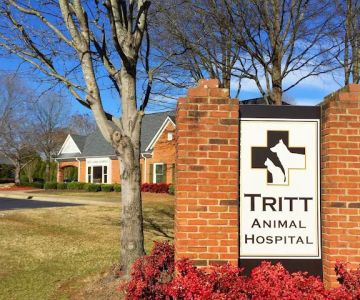 Tritt Animal Hospital
