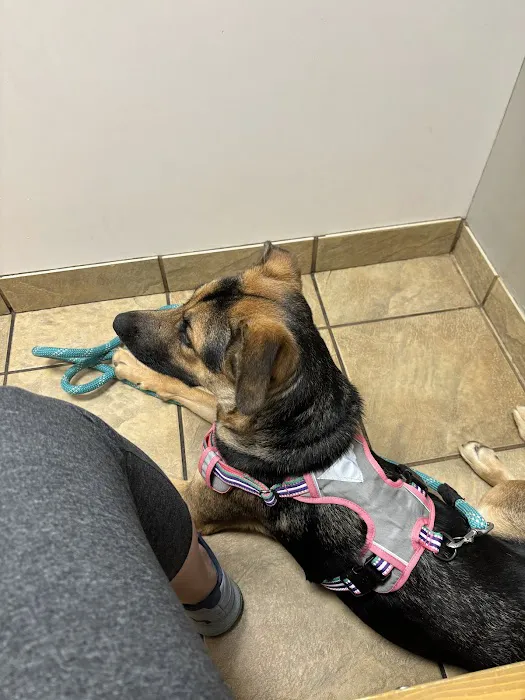 Animal Hospital of Towne Lake 12