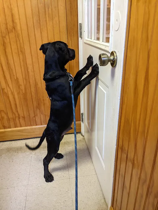 Animal Hospital of East Cobb 12