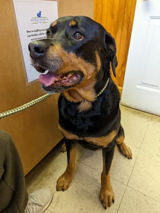 Animal Hospital of East Cobb 12